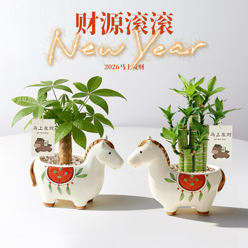 Get Rich Quickly! New Style Money Tree Small Potted Plant for Office Desktop, Green Plant That Attracts Wealth, Year of the Horse Gift, Wholesale