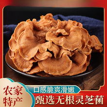 灵芝菌干货500克包邮头茬榆耳菌侧耳菌牛肚菌灵芝菇农家特产