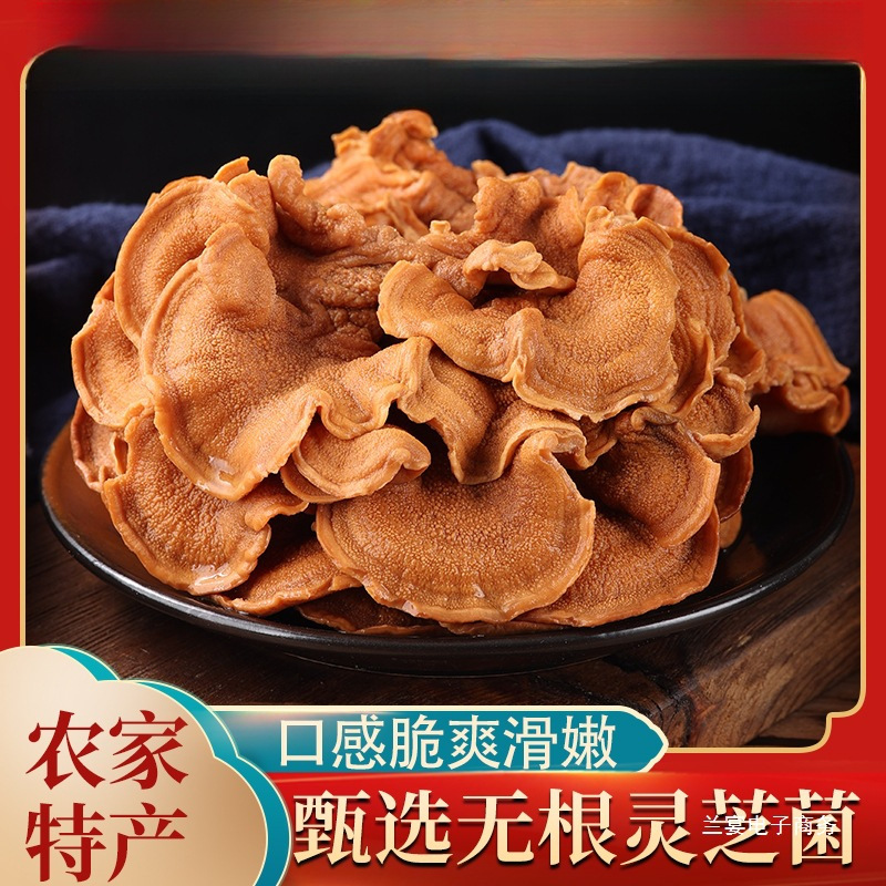 灵芝菌干货500克包邮头茬榆耳菌侧耳菌牛肚菌灵芝菇农家特产