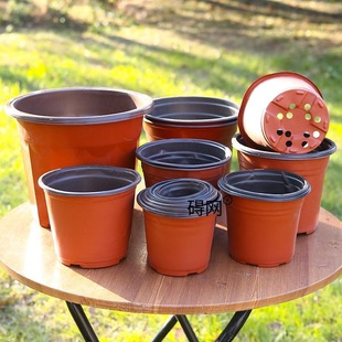 Disposable Seedling Pot Nutrition Cup Nutrition Bowl Large Seedling Two-Color Flower Pot Planting Pot Soft Plastic Simple Flower Pot