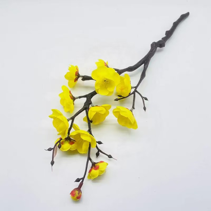 샤오시우 매화 노란색