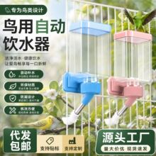 鸟用饮水器自动喂食器鹦鹉鸟笼配件用品用具喂水下料器喝水鸟批发