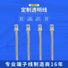 �� �� ͸����