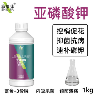 ������⛹��䚢�������߲˿������r�ö����ˮ���~����ϏS�����l