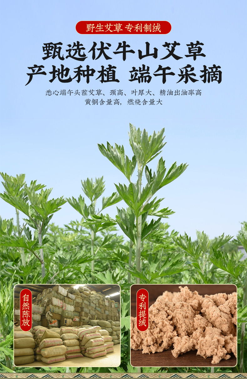 Pure Moxa Wool Ai Rong 三年陈艾绒 35:1 Aged Mugwort Floss for Moxibustion 500g Bag key features