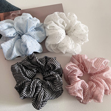 �n�����l�y�M�����c荴��c�lȦ�ٴ���|�^�����Rβ�^�KƤ��l�