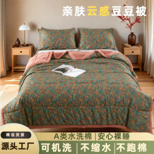 Class A milk velvet peas quilt winter quilt student dormitory cartoon quilt core thickened warm spring and autumn quilt winter batch