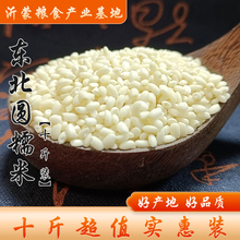 【10斤装】东北圆黏糯米粽子米江米白粘米煮粥酿酒糍粑黏米粮食