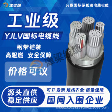 国标铝芯YJLV电缆线3/4/5芯10/16/25平方三相四线电线铠装电源线