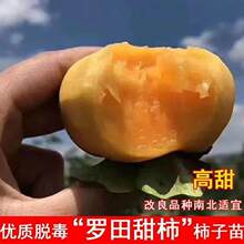 �޽��_���������������������������ͥԺ�����ϱ����Nֲ����Y��