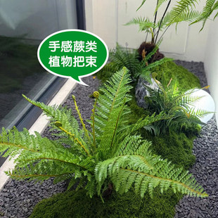 ����ާ�ֲ��������^�bٲݙ��������¸߼��жU���쾰�������