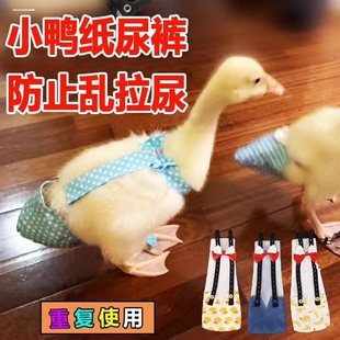 ���� ����·��򲼾W�t������u�Z��Ƭ� ���ʺ���ɓQϴ��