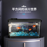 家用小型金鱼缸水族箱高清透明懒人免换水生态造景全套带盖鱼缸
