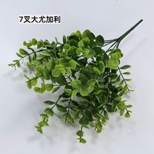 ����Gɫ���ȼ����~�ٻ��� �ҾӾGֲ�����b� ����ˮ�ݼ�ֲ��羳