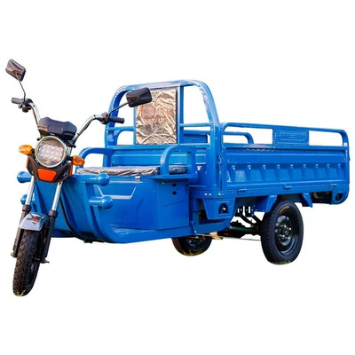 Auto Parts and Accessories, Zaizhong Wang Electric Tricycle