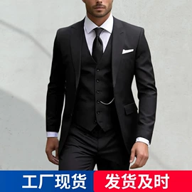 男式西服套装