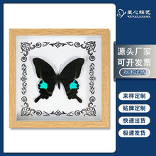 ������˱���� �W���b�DIY�͹����[̨�Ҿ��b����նY��YƷ