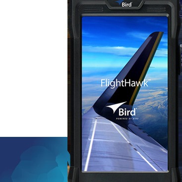 Bird FH-AV 航空射频电缆和天线分析仪套件