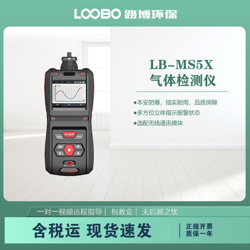 便携式气体检测仪 LB-MS5X防水溅防灰尘防爆防震 多气体分析仪