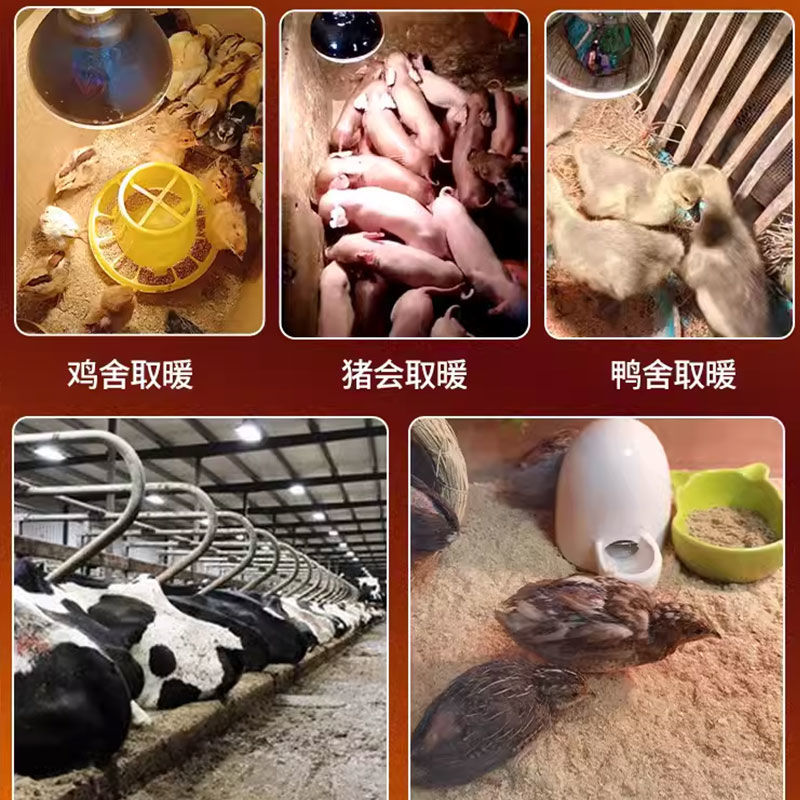 lámpara de aislamiento térmico para cerdos lámpara de aislamiento térmico especial para granja de cría de pollos lámpara de calefacción de parrilla de calentamiento para cerdos domésticos lámpara de calefacción veterinaria