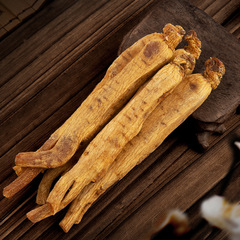 Wholesale Grown Korean Ginseng Cuttings from Changbai Mountain, Whole Red Ginseng Roots (Straight-Root Type), Authentic Original-Skin Yellow Horse-Cloak Korean Ginseng – Whole Roots