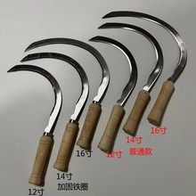 �羳���i䓸����X砵������r��ľ���ձ���ʽ�ֳִ󏝿���|�ρ�