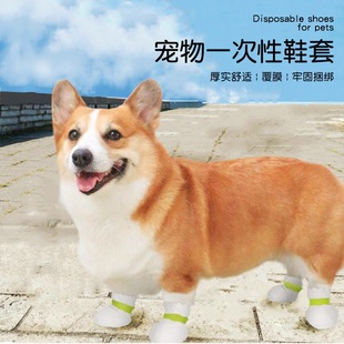 ����Ь�����һ�����޹�ЬС��Ȯ�_�׌�������؈����K##