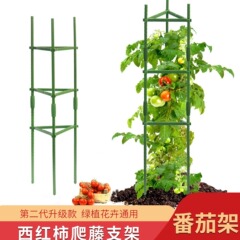 トマトの支えのキュウリの棚のトマトの野菜の果物は栽培して豆の角に登って藤の棚のアマゾンの越境して専用に供えます。