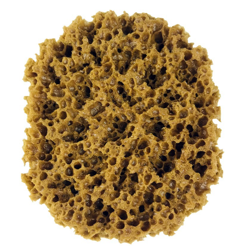 Искусственная губка по цене производителя, бестселлер Amazon, для трехцветной перламутровой художественной краски, иризирующей краски, губка для точечной живописи в стиле морских водорослей.