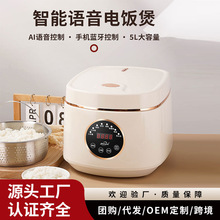 ����ԤԼ�����緹�Ҽ���5L�๦�ܵ緹������������������Ʒ����