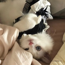 ɫٽzȹ؈؈؈乫bɐ؈·؈乷Yȹ