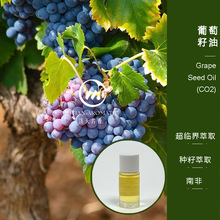 �������� ���R��CO2��ȡ ֲ���ͻ��A�� ��Ħ�o�w����