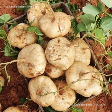 �V���������r�F�ڰ��ĵع�ɳ�𮔼�ˮ���߲�ɳ���}���r�ҷ�������