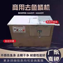 大型商用鱼鳞机全自动鱼鳞刨刮除鱼鳞机不锈钢脱鱼鳞机除去鱼鳞机