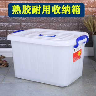 �ش�̖�N����ɫ�Ӻ��L���������ռ{������N����������������D��