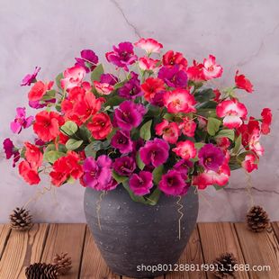 ������滨7�^ľ�Ȼ��Ҿ��b�Y�Ĕz���߼ٻ���������������