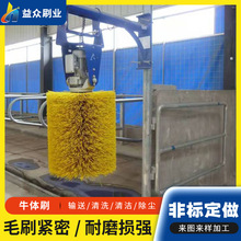 �S�����aȫ�Ԅ��坍ţ�wˢ ţ�w��Ħ��W����ˢ݁�����zëˢ݁