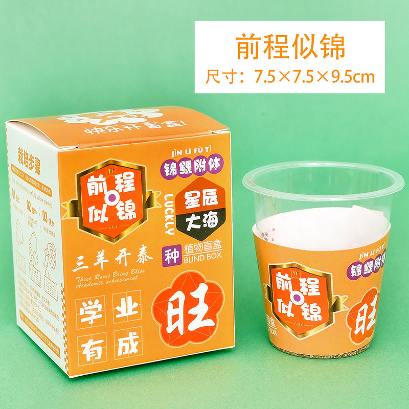 子供用植栽ミニプランター、学生用プラスチック賞品、卓上グリーン、ブラインドボックス、幼稚園ギフト、クリエイティブな小さな贈り物|undefined