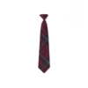 (No need to fight)--Cherry plaid tie