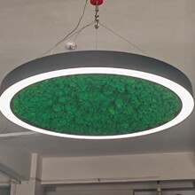 led空心圆环形吊灯休闲区吧台办公室幼儿园走廊创意圆形绿植吊灯