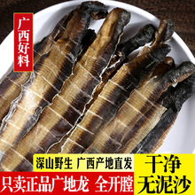 地龙整条干蚯蚓天然中药材无硫中药材正宗野生广地龙全开半开纯正