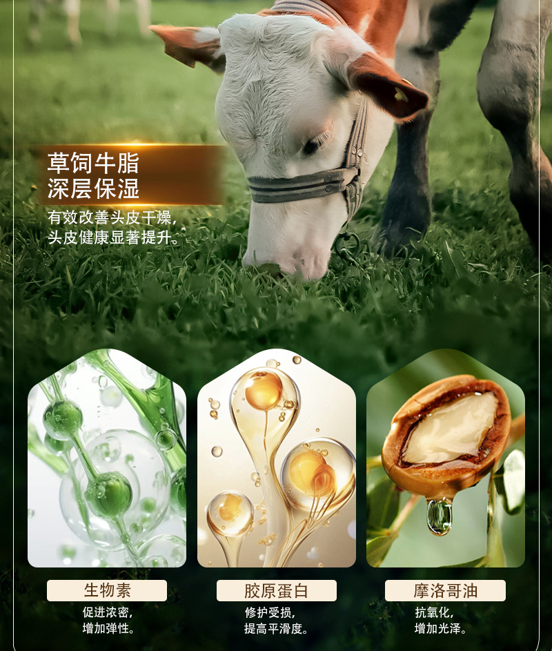 250ml-牛脂洗发水详情页_05