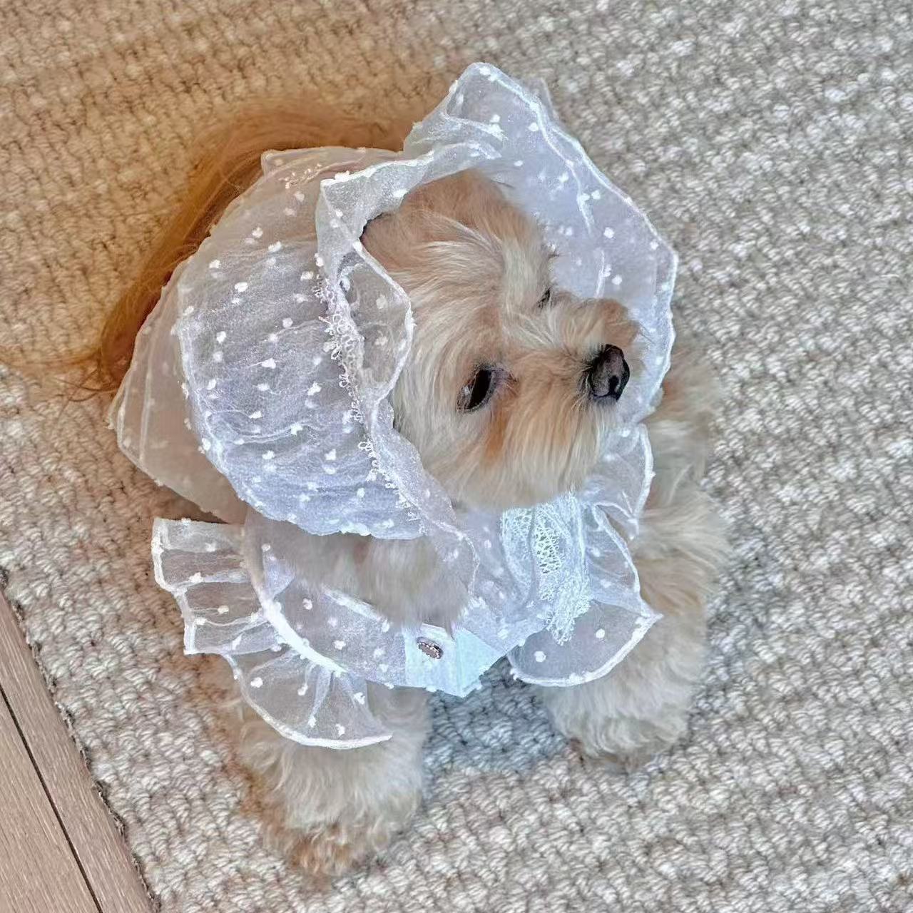 Spring Summer Lace Princess Dress Pet Clothes Dog Cat Universal Teddy Bichon_voghion.com