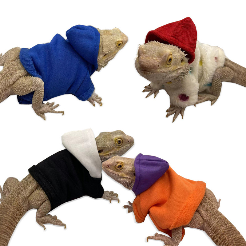 Lizard Clothes, Hoodies, T-Shirts, Pet Outing Transformation Clothes, Lizard Walking, Small Pet Clothes and Supplies