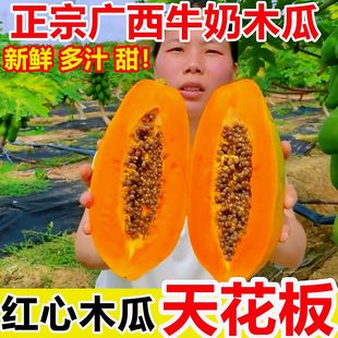 �V���t��ţ��ľ�ϱ����đ����������rˮ��10������������ЋD��ʳ