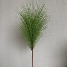 ����ֲ���Rβ�ɾW�tֲ��Ұ��ֲ���Rβ�ɼٻ��Gֲ��zӰ��