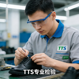 ����Ь�؛����qc�W�˿羳ͨ�Pcheck����������tts�z�inspection