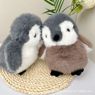 �ɐ����Zë�q��߹�����ż�������ZС���Є������޳�ܛ������