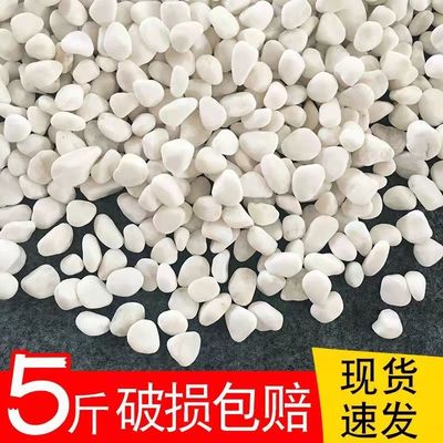 white stone Pebbles Paved Pebble Stone fish tank Landscaping filter Landscaping Garden Scenery