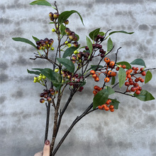 �¿����Ұ���[���[�O�{����˼����c�ҾӔ[���{ݮɽ髹��٘�